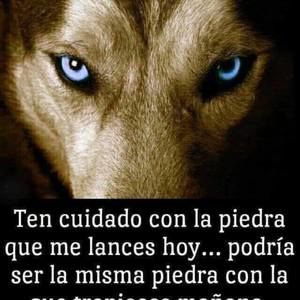 Meet your Posher, Valentin